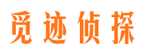 邵东市调查公司